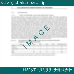 グローバルリサーチ調査資料のイメージ
